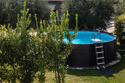 Garden, Swimming pool