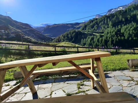 Skichalet Cervinia BASSI Apartment in Breuil-Cervinia