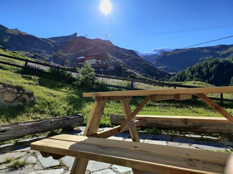 Skichalet Cervinia BASSI Apartment in Breuil-Cervinia