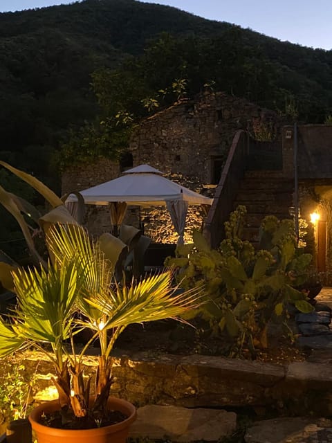 Garden, Hot Tub, Garden view