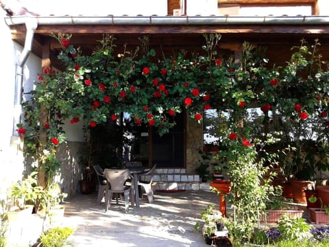 Todorovi Guest House Bed and Breakfast in Stara Zagora