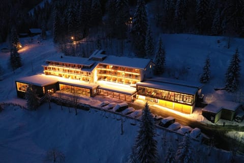 Property building, Night, Natural landscape, Winter