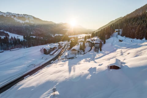 Bird's eye view, Winter, Sunset