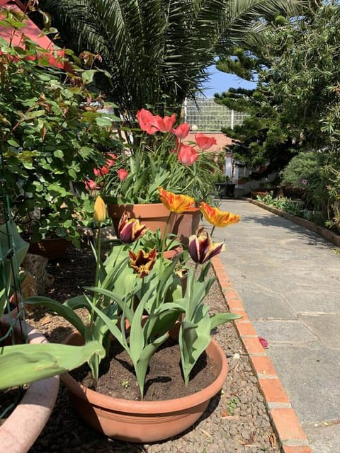 Resort Dependance di Villa Rosa Maria Apartment in Savona