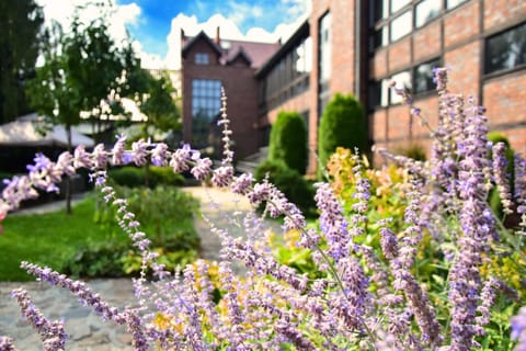 Property building, Garden, Garden view