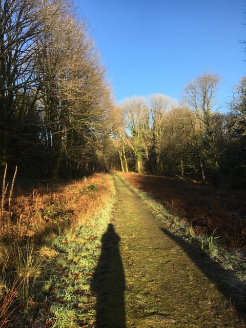 STUNNING LODGE - HOME FROM HOME Kippford, Dalbeattie House in England