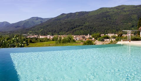 Masia d'Amer - Complex rural amb encant House in Garrotxa