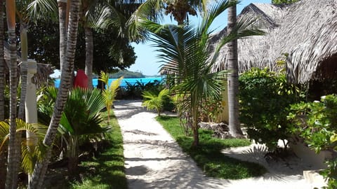 Village Temanuata Hotel in Bora-Bora