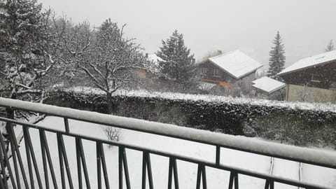 Property building, Winter, Garden