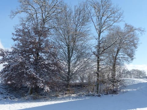 Day, Natural landscape, Winter