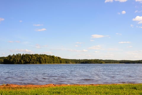 Nearby landmark, Area and facilities