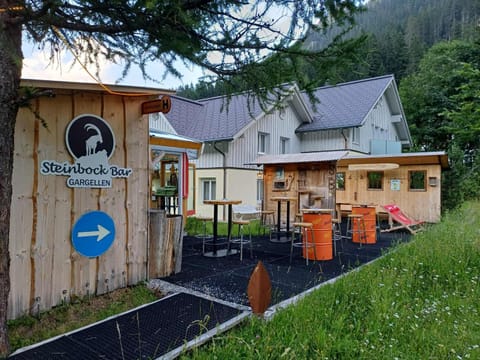 Lounge or bar, Evening entertainment