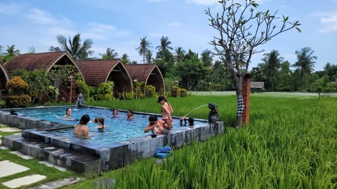 Day, People, Pool view, Swimming pool, group of guests