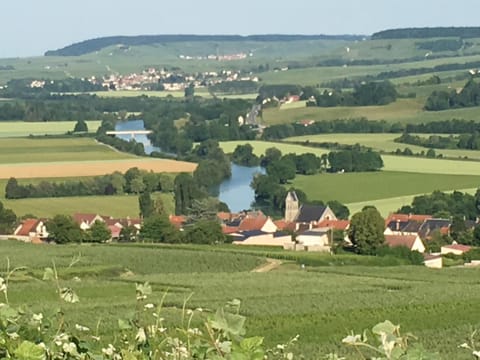 Villa l'INSOUCIANCE en Champagne Villa in Grand Est