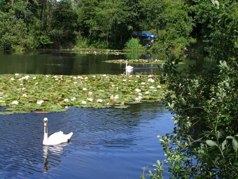 Stone House Farm (Adults Only) House in Broadland District