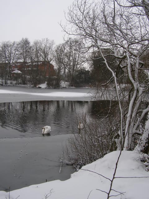 Stone House Farm (Adults Only) House in Broadland District