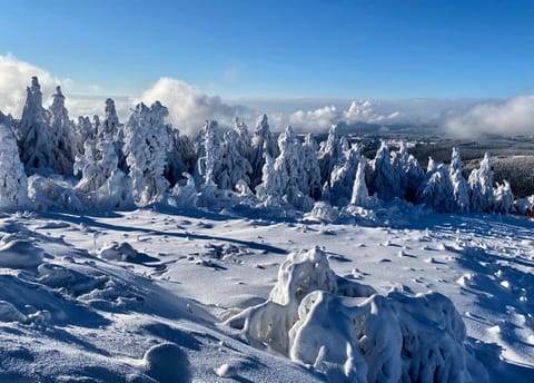 Natural landscape, Winter, Hiking, Mountain view