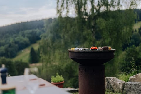 BBQ facilities, Meals