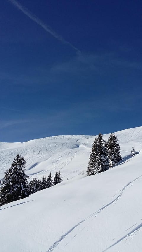 Natural landscape, Winter