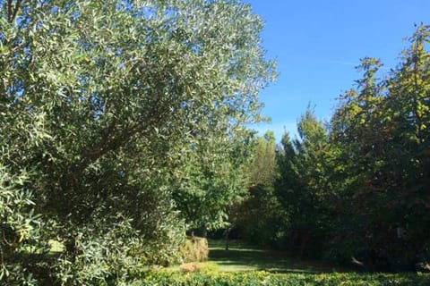 Maison accueillante à Arles - Jardin, Parking privé House in Arles