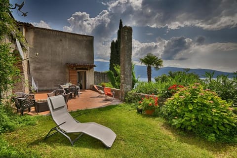 Patio, Garden, Garden view