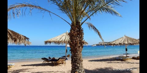 Sharm Dreams Vacation Club - Aqua Park Resort in Sharm El-Sheikh