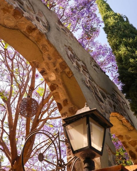 Property building, Day