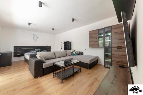 Bed, TV and multimedia, Living room, Photo of the whole room, Seating area, Evening entertainment, Bedroom