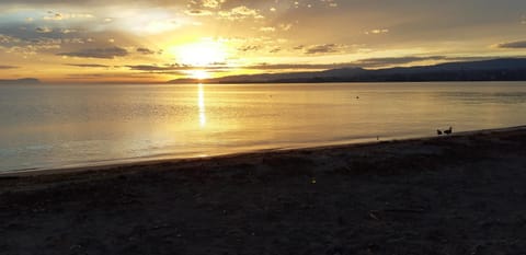 Natural landscape, Beach, Sunset