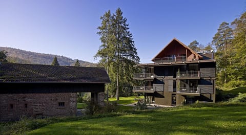 Property building, Day, Garden