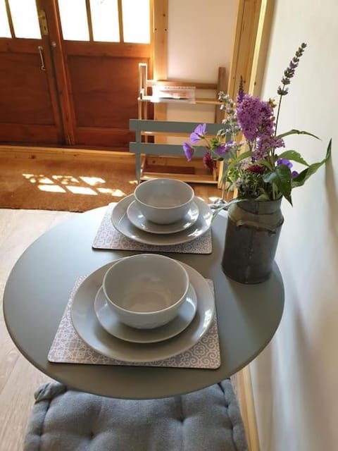 The Potting Shed near Tenby, 100" Projector, Four poster bed, On-site HOT TUB access via Spa Pack Apartment in Wales