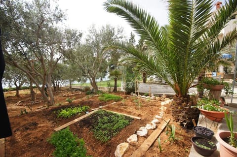 Patio, Garden, Garden view