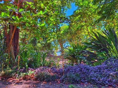 Day, Garden view