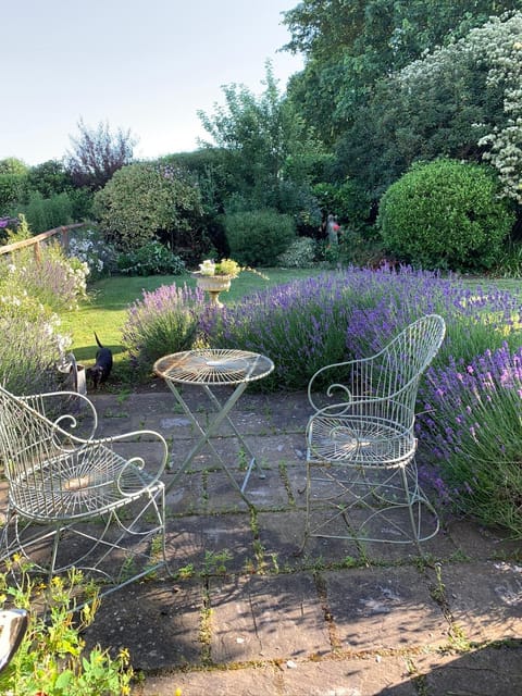 Cary Fitzpaine House Bed and Breakfast in South Somerset District