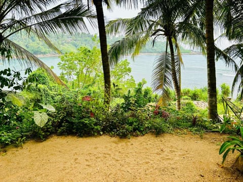 Nearby landmark, Natural landscape, Garden, Beach, Sea view