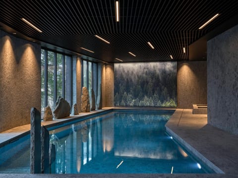 Spa and wellness centre/facilities, Swimming pool