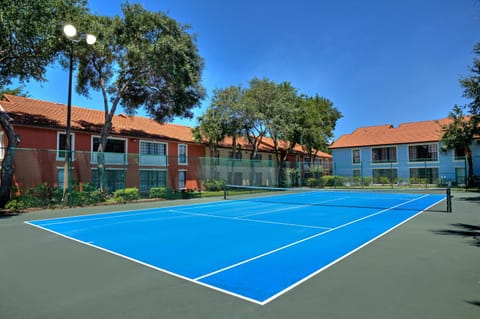 Tennis court, Tennis court