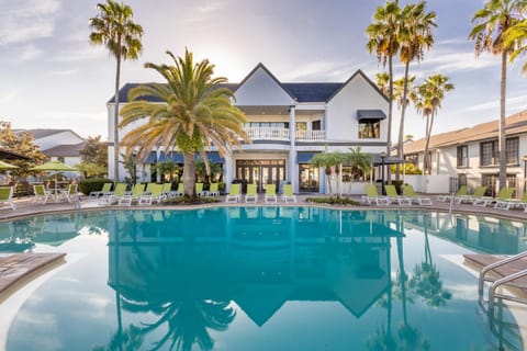 Pool view, Swimming pool