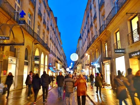 Opéra Suite&Spa Apartment in Nantes