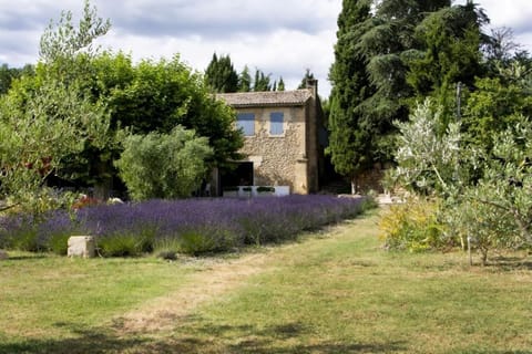 Patio, Garden, Garden view