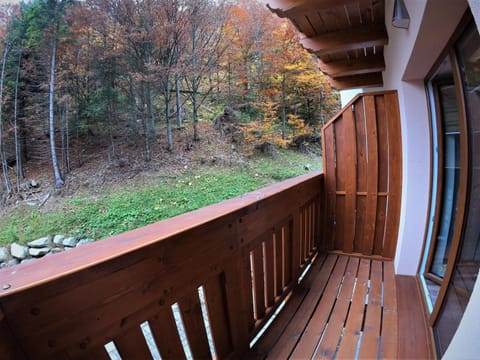 Balcony/Terrace, Garden view