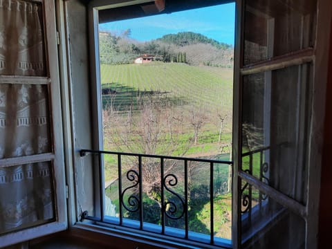 Agriturismo Tenuta Adamo Copropriété in Lucca