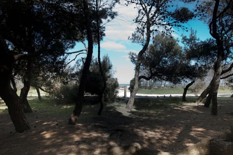 Natural landscape, Beach