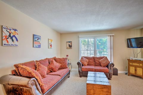 Homey Windham Condo Hike and Ski the Catskill Mtns! Apartment in Capital District, NY, USA