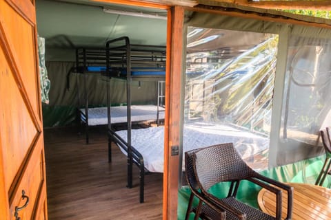 Binna Burra Rainforest Campsite Campingplatz /
Wohnmobil-Resort in O'Reilly