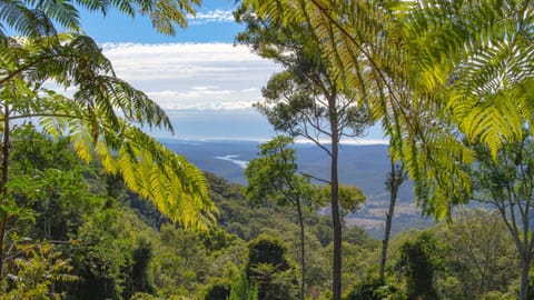 Natural landscape, Sea view