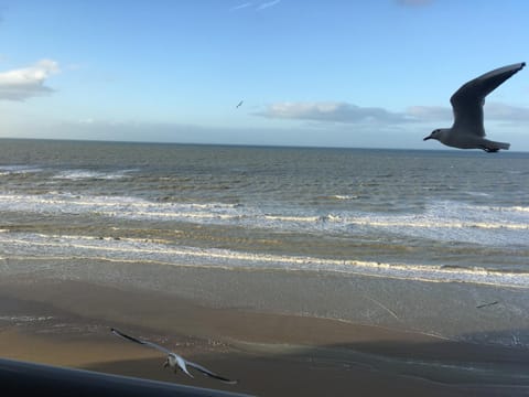 Natural landscape, Beach, Sea view