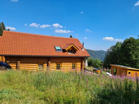 Luxus-Ferienhaus Blockhaus Chalet Nr 1 Toplage am Feldberg mit Sauna, Outdoor-Hottub, Kamin auf 1300m üM House in Baden-Württemberg