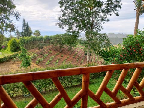 Casa Laureles Vacation rental in Quindio, Colombia