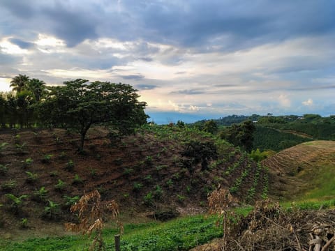 Casa Laureles Vacation rental in Quindio, Colombia